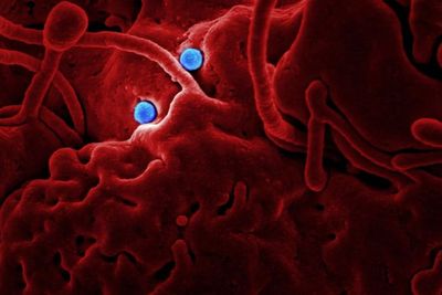 Virus Corona Mewabah, Sektor Bisnis Logistik Masih Aman