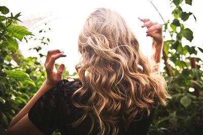 Cara Mengolah Daun Jambu Biji untuk Kesehatan Rambut