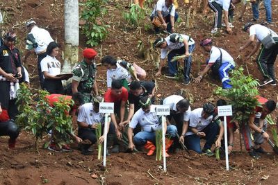 Anies Baswedan Apresiasi Penghijauan Bantaran Sungai Ciliwung