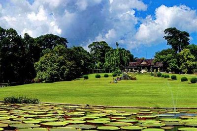LIPI Targetkan Kebun Raya Bogor Jadi Situs Warisan Dunia UNESCO