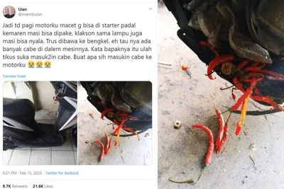 Bukan Kehabisan Bensin, Penyebab Motor Ini Mogok Bikin Geleng Kepala