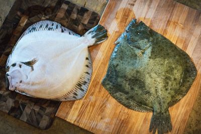Jadi Bahan di Pressure Test MasterChef, Segini Harga Ikan Turbot