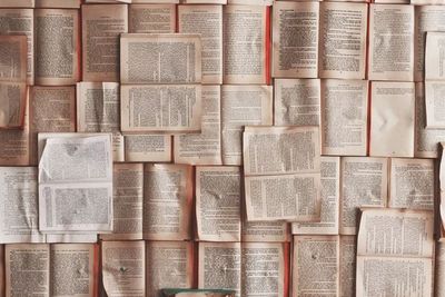 Bibliophobia, Ketakutan Berlebih pada Buku