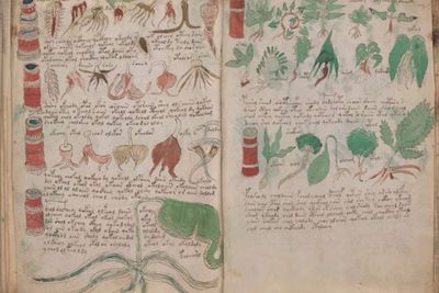 Kisah Naskah Voynich, Tulisan Misterius pada Abad Pertengahan