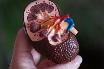 Ini Alasan Diabetes dan Hipertensi sebabkan Penyakit Ginjal Kronik