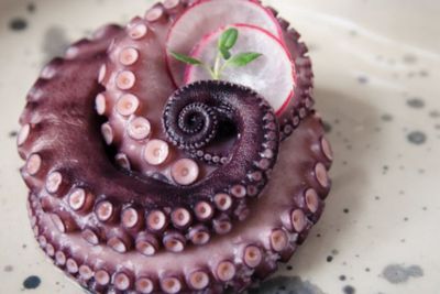 Selain Ikan Buntal, Ini 3 Makanan Enak tapi Mematikan