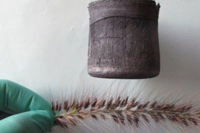 Graphene Aerogel, Salah Satu Penemuan Teknologi Terhebat Manusia
