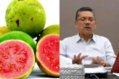 Jambu Biji hingga Daun Kelor Bisa Cegah Virus Corona? Cek Faktanya