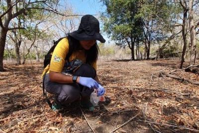 Puji Rianti, Perempuan Indonesia yang Tengah Meneliti Spesies Orangutan Baru 