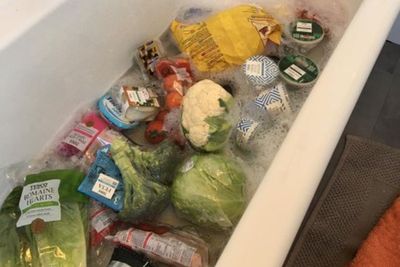 Rendam Semua Makanan dengan Air Sabun, Aksi Perempuan Ini Viral di Media Sosial