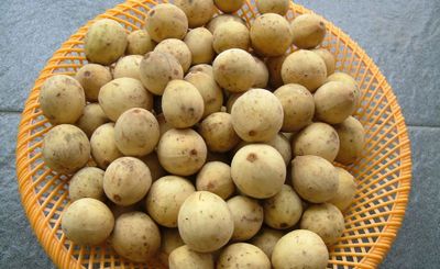 7 Manfaat Buah Duku untuk Kesehatan, Bantu Tingkatkan Imun dan Cegah Penyakit