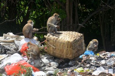 WFH Bikin Sampah Jakarta Berkurang 620 Ton