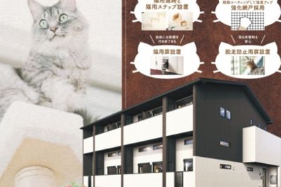 Apartemen Unik di Jepang, Sengaja Didesain untuk Pencinta Kucing