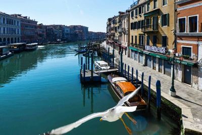 Sepi Pengunjung, Kanal Air di Venesia Kini Jauh Lebih Bersih dan Cantik