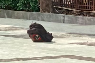Ada Tas Mencurigakan di Depan Hotel Indonesia, Apa Isinya?