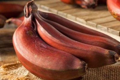 Sudah Pernah Cobain Pisang tapi Rasa Raspberry?