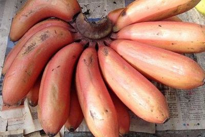 Rasakan 5 Manfaat Pisang Merah untuk Kesehatan Tubuh
