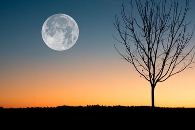 Deretan Lokasi Terbaik untuk Menikmati Fenomena Supermoon
