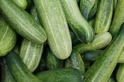 Segar dan Kaya Manfaat! Ini 12 Alasan Kamu Harus Rutin Makan Mentimun