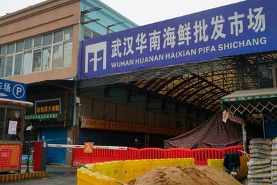 Tiongkok Bakal Hukum Berat Pemburuan dan Perdagangan Satwa Liar Ilegal