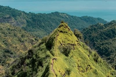 5 Wisata Bukit di Sukabumi yang Asyik Buat Trekking Akhir Pekan Bareng Bestie!