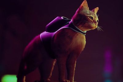 STRAY Ajak Pemain Mengeksplorasi Dunia Masa Depan Sebagai Seekor Kucing