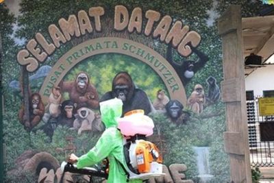 Pengunjung Dibatasi, Pengelolaan Ragunan: Dalam Masa Transisi