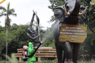Ragunan Mulai Buka Besok, Catat Aturan yang Harus Diketahui