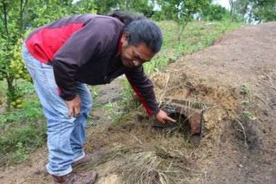 Misteri Kematian Ternak di Taput, Ulah Makhluk Penghisap Darah Bertubuh Besar dan Kuat