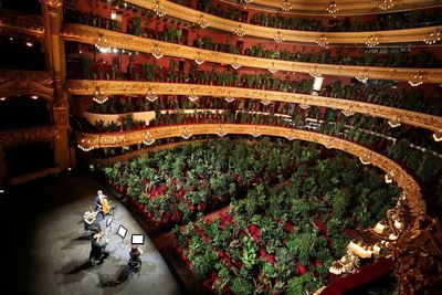FOTO: Ribuan Tanaman Jadi Penonton Konser di Spanyol