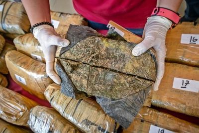 Diduga Terima Paket Ganja, Direktur Perusahaan Investasi Ditangkap Polisi