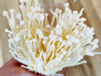 Fakta-fakta Jamur Enoki