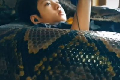 Viral Bocah Santuy Main Game Ditemani Peliharaan, Netizen Kaget dengan Bentuk Ularnya
