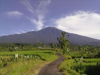 10 Tempat Wisata di Kecamatan Baturraden Terbaru 2025 yang Hits untuk Liburan