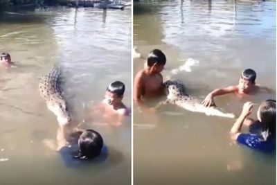 Video: Anak-anak Berenang dengan Buaya, Nggak Ada Takutnya, Mulutnya Malah Dipegangi