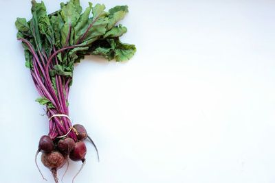 Enggak Sekadar Sayur Merah, Ini 7 Khasiat Bit yang Mengejutkan