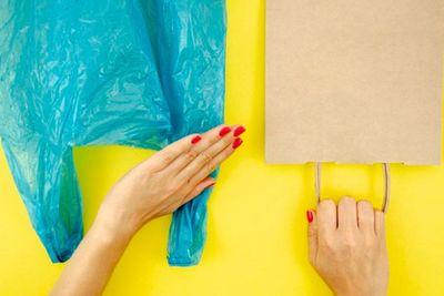 Selain Indonesia, 5 Negara Ini Juga Melarang Penggunaan Kantong Plastik