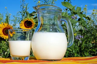 17 Ide Nama Usaha Susu Sapi Kekinian yang Bikin Branding Kamu Makin 'Moo-dy' dan Laris Manis!