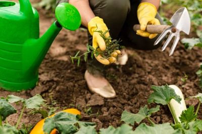 Hiburan bagi Orang Kaya, Cuan buat Kelas Menengah: 7 Hobi Ini Bisa Jadi Ladang Bisnis