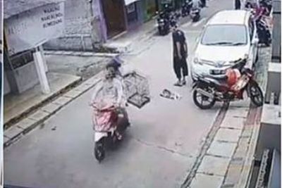 Karma! Pencuri Ini Kehilangan Burung yang Dicolong Usai Senggol Pejalan Kaki