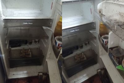 Heboh! Kisah Penyewa dari Neraka, Tinggalkan Rumah Kontrakan Penuh Ulat