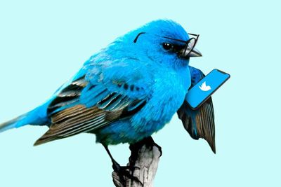 Berikut 4 Tips Menjaga Akun Twitter Tetap Aman dari Tindakan Peretasan!