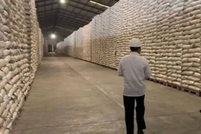 Pembagunan Lumbung Pangan di Indonesia Dinilai Selalu Gagal, Ini Kata Pengamat