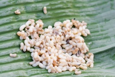 7 Makanan Ekstrim yang Tak Lazim Dikonsumsi, Berani Coba?