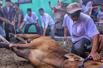 Sejarah Hari Raya Idul Adha dan Awal Mula Kurban dalam Islam