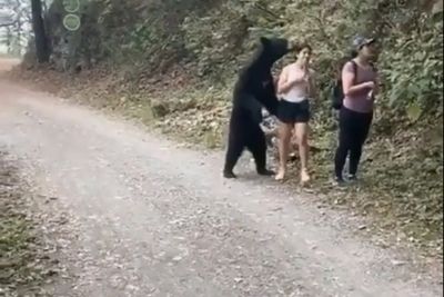 Disamperin Beruang Hitam, Wanita Ini Malah Santuy Sambil Selfie