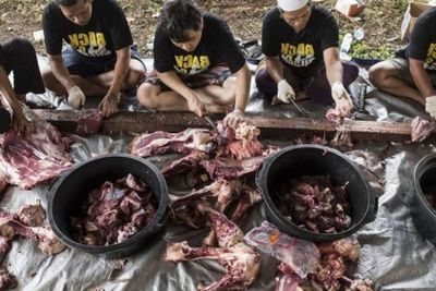 Jangan Sampai Daging Kurban Jadi Bau! Ini Cara Simpan yang Benar Biar Awet Berbulan-Bulan