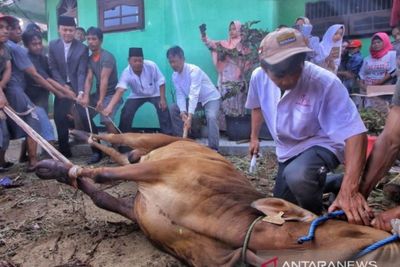 Ketentuan dan Syarat Orang yang Qurban Idul Adha (Shohibul Qurban)