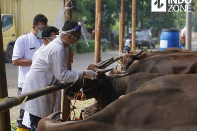 Begini Protokol Pelaksanaan Kurban di Jakarta saat Pandemi