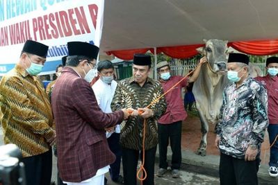 Presiden Jokowi Serahkan Sapi Kurban Seberat 1 Ton ke Masjid Istiqlal